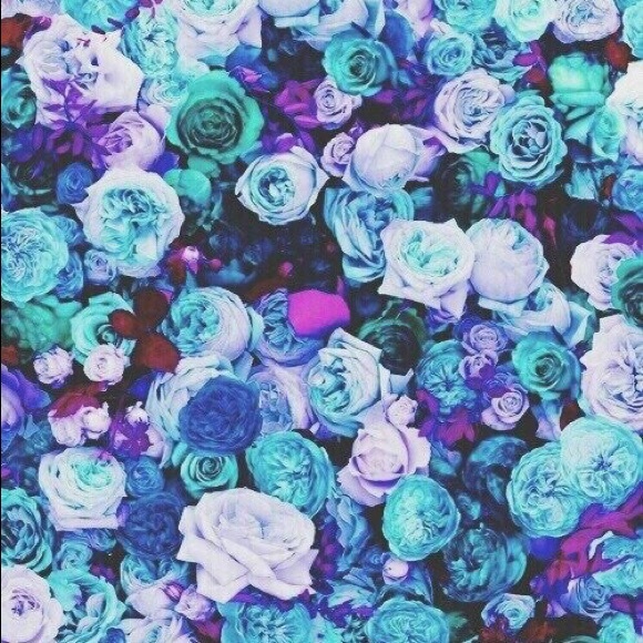 Meet your Posher, Cordi - Picture 1 of 1